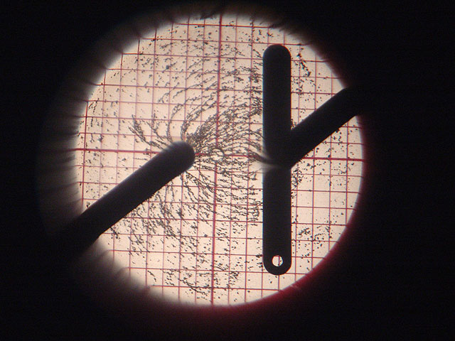 EQ063_007.jpg