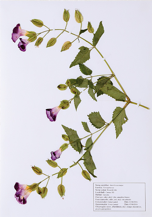 EQ330_003.jpg